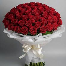 Букет 101 Красная роза Блэк Мэджик в Великовечное