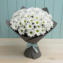 Букет цветов из:  Хризантемы в Великовечное